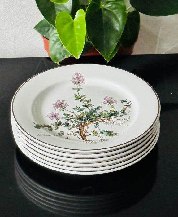 Villeroy & Boch - Bord (6) - botanica - Porselein, Antiquités & Art, Antiquités | Meubles | Tables