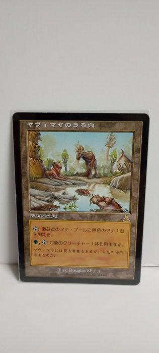 Wizards of The Coast - 1 Card - Urzas Destiny - Yavimaya, Hobby en Vrije tijd, Verzamelkaartspellen | Magic the Gathering