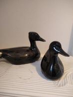 Lokeend (2) - Bois -or