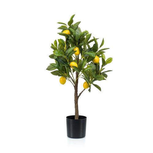Kunstplant - Citrus Limonia - Citroenboom - 75 cm, Huis en Inrichting, Woonaccessoires | Kunstplanten en Kunstbloemen