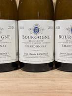 2024 Domaine Ramonet - Bourgogne Les Durots - Bourgogne -