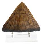 Jurassic Park Statue Triceratops Spike Prop 19 cm, Ophalen of Verzenden