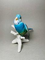 Karl Ens, Volkstedt - Figurine - Budgie - Porcelaine