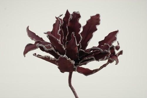 Cactus Ziggo Dark Rood Foam, Hobby en Vrije tijd, Knutselen, Nieuw