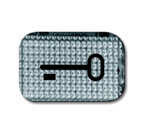 ABB Busch-Jaeger 2145 TR Key Symbol Transparent Lens -, Doe-het-zelf en Bouw, Elektriciteit en Kabels, Verzenden