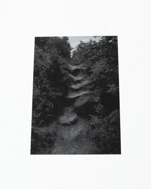 Ros Khavro - Stairs - Signed Pigment print (Nature,, Antiek en Kunst, Kunst | Schilderijen | Modern