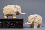 Wolharige mammoet - Gefossiliseerde slagtand - Mammoth ivory, Verzamelen, Mineralen en Fossielen