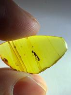 Barnsteen (Zonder minimumprijs)