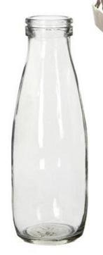 Glas vaas fles voor schelpen of bloemen ø7 h.21 cm excl