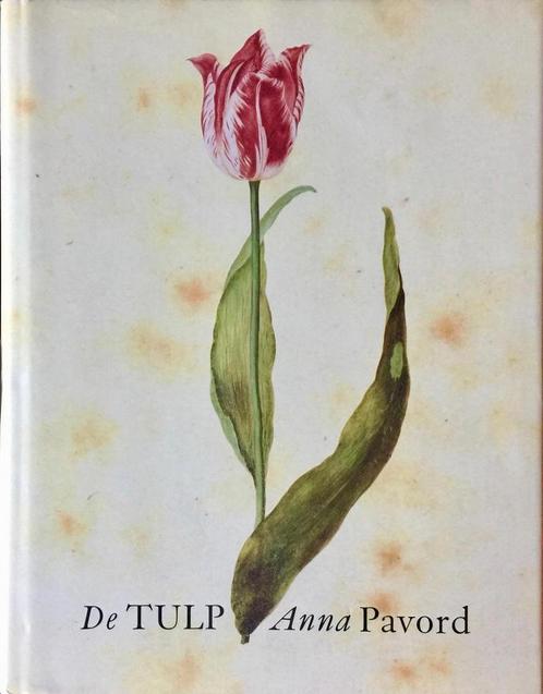 Tulp 9789041403674 A. Pavord, Livres, Livres Autre, Envoi