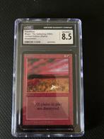 Wizards of The Coast Graded card - Magic: The Gathering -, Nieuw