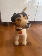 Steiff - Speelgoed Steiff Jack Russell Terrier Hexie -