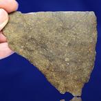 (11 cm!!!) -Slechts 3,9 kg in de wereld- RUMURUTI R3