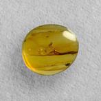 mug - Barnsteen - 23 mm - 25 mm (Zonder minimumprijs)