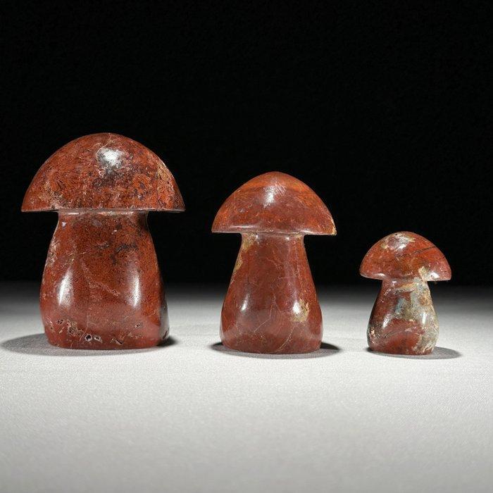 Geen minimumprijs - Prachtige set van 3 Rode Jaspis, Antiek en Kunst, Kunst | Designobjecten