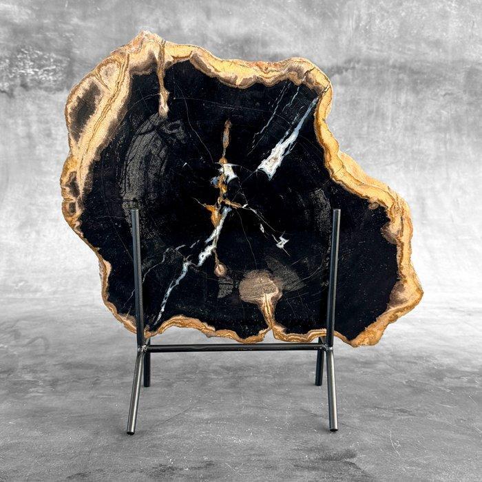 Wonderlijke grote plak versteend hout op een op maat, Antiquités & Art, Art | Objets design