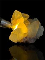 Elephent Teeth calciet Exemplaar - Hoogte: 112 mm - Breedte:, Collections