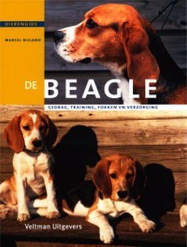 Dierengids De beagle / Dierengids 9789059202009 M. Nijland, Boeken, Hobby en Vrije tijd, Gelezen, Verzenden