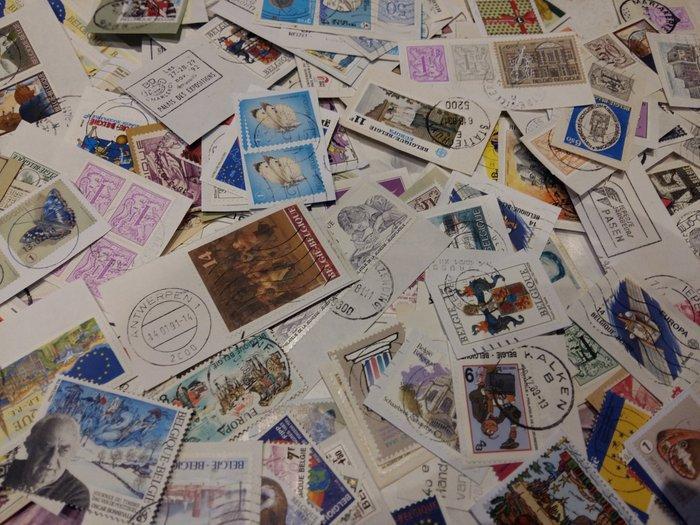 België - Verzameling van 40.000 gestempelde postzegels., Postzegels en Munten, Postzegels | Europa | België