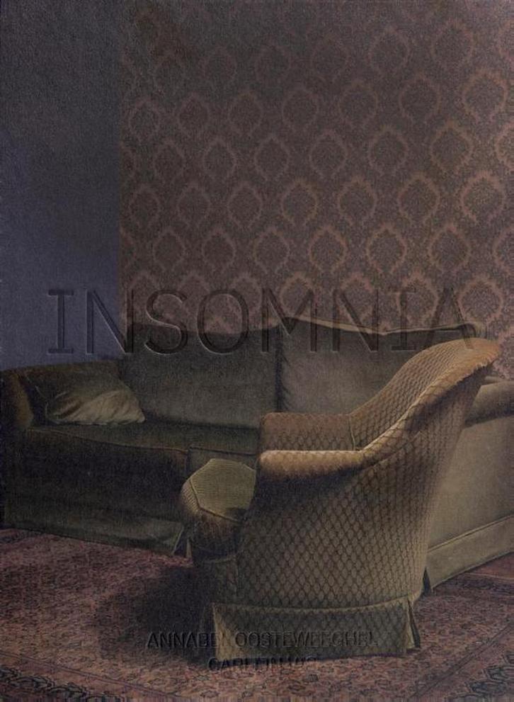 Insomnia 9789462622746 Carlijn Vis, Boeken, Kunst en Cultuur | Beeldend, Gelezen, Verzenden