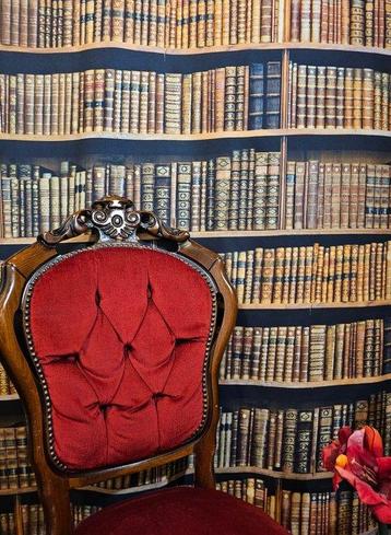Tissu Librairie Antiquaire Exclusif Antiquités - 300x280cm -