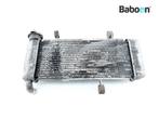 Radiateur Kawasaki NINJA 125 2019 (BX125), Motoren, Verzenden, Nieuw