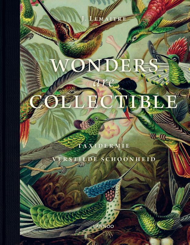 Wonders are collectible 9789401429696 Jeroen Lemaitre, Boeken, Hobby en Vrije tijd, Gelezen, Verzenden
