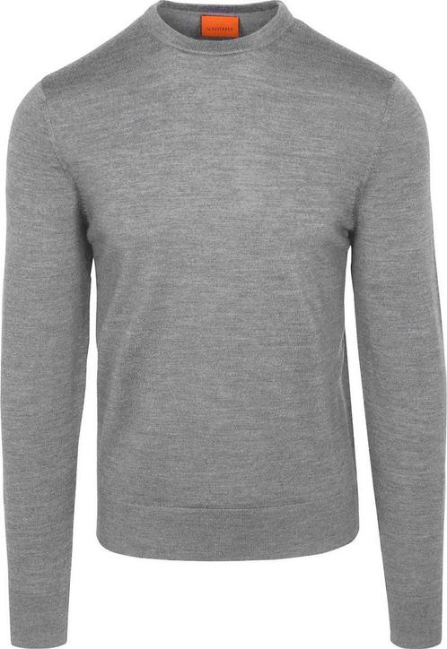 Suitable Merino Pullover Grijs maat Maat 52/54 (L) Heren, Vêtements | Hommes, Pulls & Vestes, Envoi