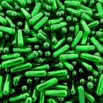 Capsules Maat 1 Groen/Transparant       2000 stuks, Verzenden, Nieuw