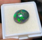 Groene Vuur-opaal Cabochon - Hoogte: 10 mm - Breedte: 8.5, Verzamelen, Mineralen en Fossielen