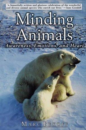 Minding Animals, Boeken, Taal | Engels, Verzenden