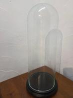 Globe - stolp - antiek - 1921-1950 - Antieke ronde stolp op, Antiek en Kunst