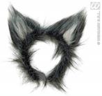 Oren Wolf