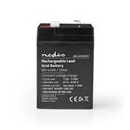 Loodaccu - Nedis (6 V, 4.500 mAh), Doe-het-zelf en Bouw, Gereedschap | Machine-onderdelen en Toebehoren, Verzenden, Nieuw