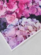 Viet Ha Tran - Hortensia I