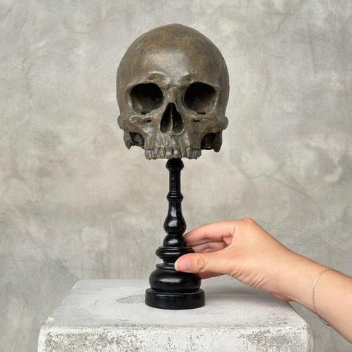 Beeld, NO RESERVE PRICE - Stunning human skull no jaw on a, Antiek en Kunst, Kunst | Designobjecten