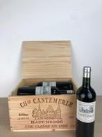 2021 Château Cantemerle - Bordeaux, Haut-Médoc Grand Cru, Collections, Vins