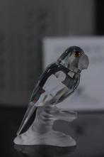 Figure - Swarovski - Papegaai (Boxed + Certificate) -