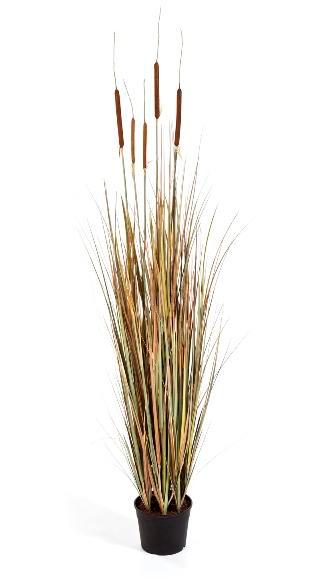 Kunstplant Lisdodde Gras Herfst 150 cm, Huis en Inrichting, Kamerplanten, Verzenden