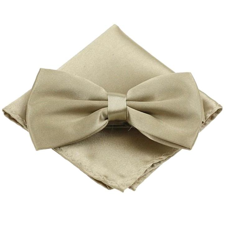 Fako Fashion® - Vlinderstrik Met Pochette - Vlinderdas -, Kleding | Heren, Stropdassen, Verzenden