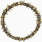 2dekans | Ceruzo Kerstring -Decoratiering met Verlichting, Tuin en Terras, Ophalen of Verzenden, Nieuw