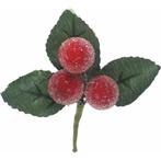 Besjes frosted raspberry pick red rood 10 cm/ zakje 6 st ook