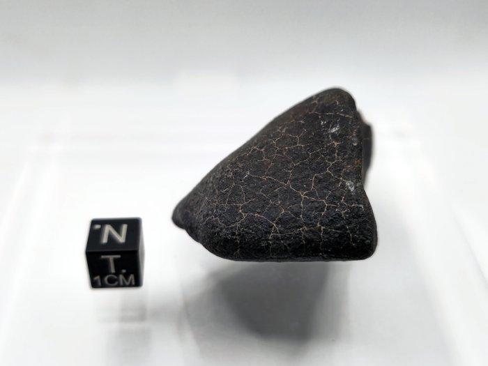 Hammadah al Hamra 346 – Een meteoor met een indrukwekkende, Verzamelen, Mineralen en Fossielen