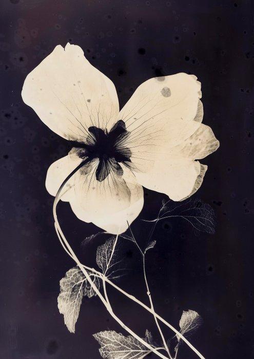 Jorge Omeñaca - Flowering II, Antiek en Kunst, Kunst | Schilderijen | Modern