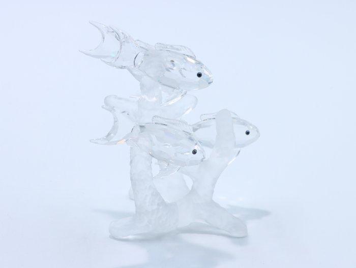 Figuur - Swarovski - School vissen (Boxed + certificate) -, Antiek en Kunst, Curiosa en Brocante