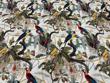 Un voyage exotique à travers les sens : tissu en coton pour