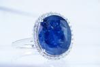 Zonder minimumprijs - Ring Platina - 11.21ct. tw. Saffier -, Nieuw