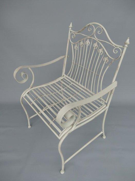 Tuinstoel - IJzer - Tuinstoel, Antiek en Kunst, Curiosa en Brocante