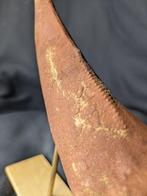 Museumkwaliteit replica - Fossiele tand - Tyrannosaurus rex