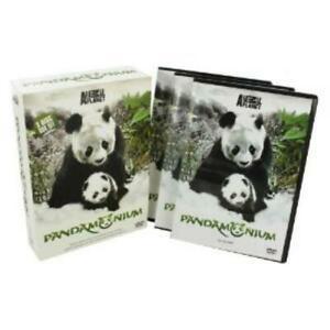 Pandamonium - 3 DVD Box Set DVD, CD & DVD, DVD | Autres DVD, Envoi